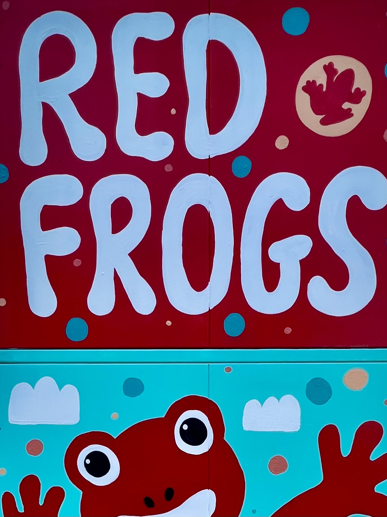 B0640_Annabel-Munro-(Red-Frogs)_Red-Frog-Best-Friends-Since-'97_07