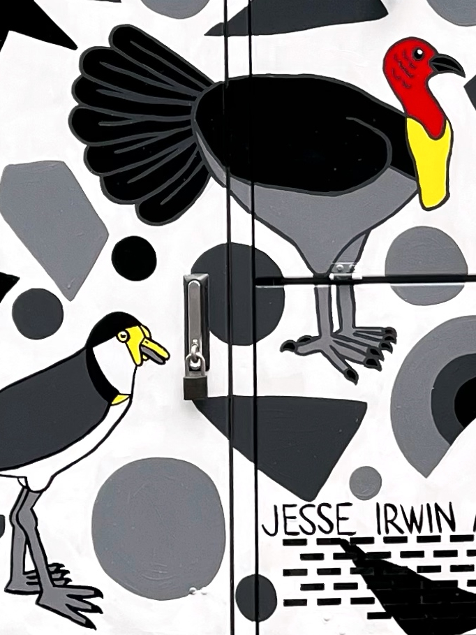SC164-Jesse_Irwin-Black_and_White_Birds_of_Brisbane-10