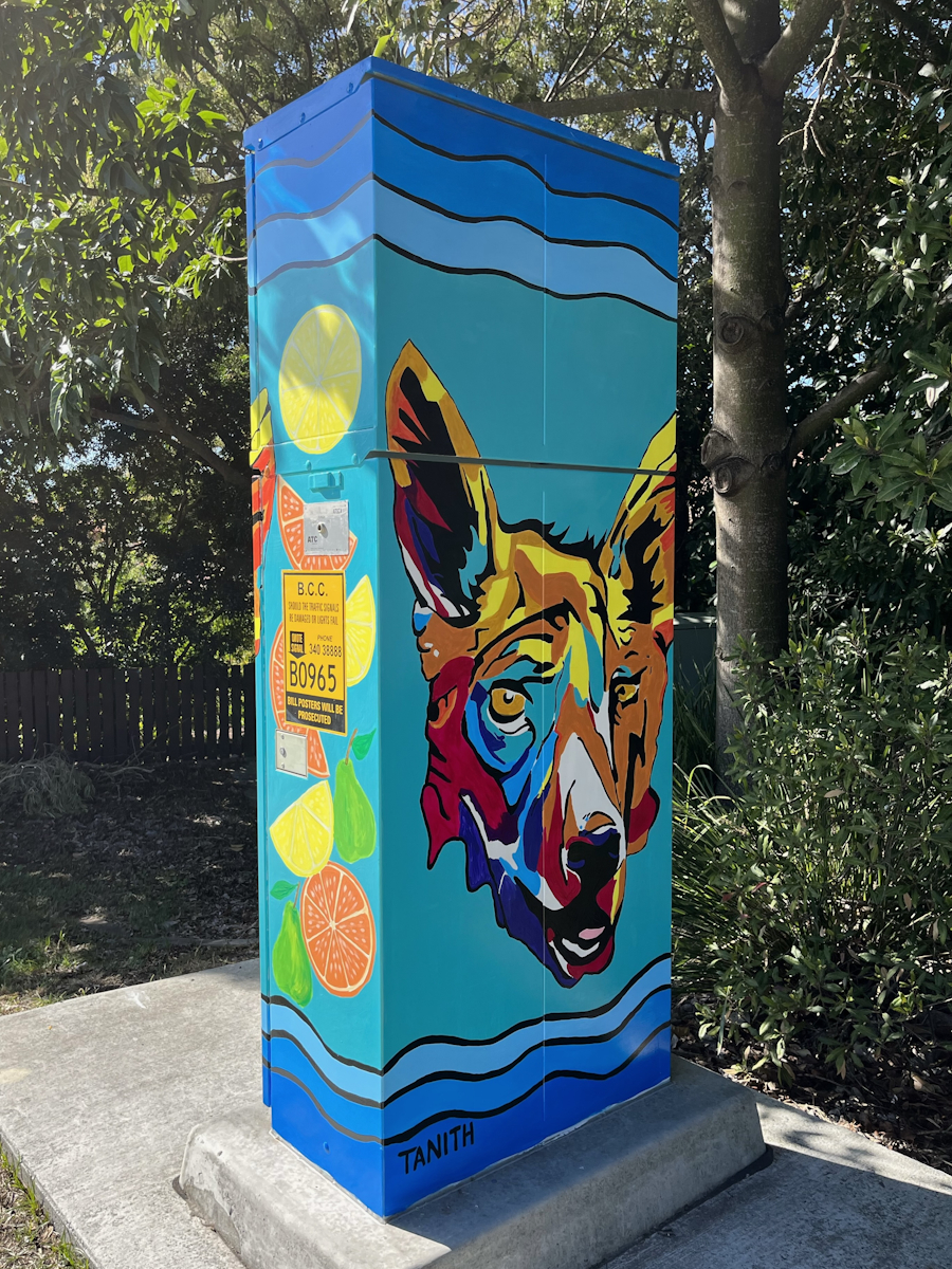 wild-dog-artforce-brisbane