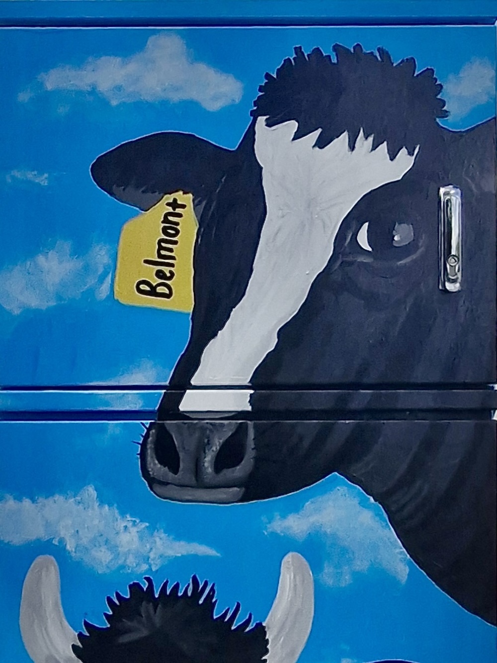 AB-BO860-Brooke_Killea-Belmont_Farms-09