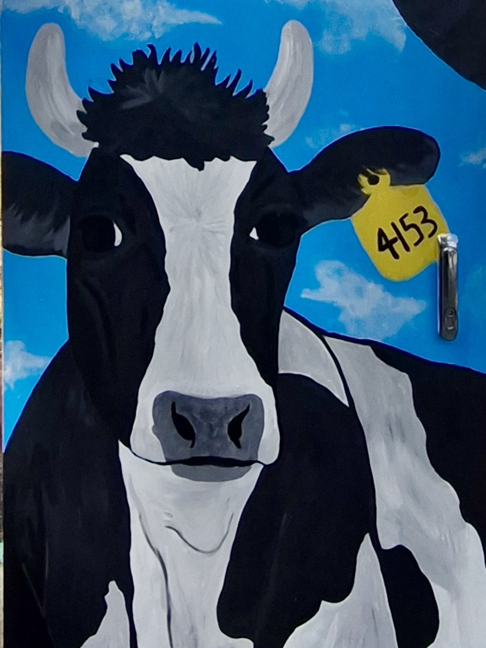 AB-BO860-Brooke_Killea-Belmont_Farms-10
