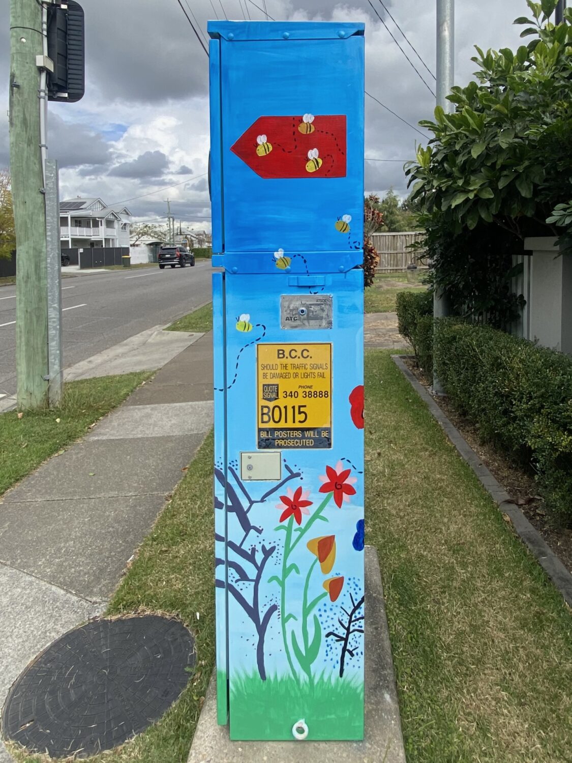 AB-B0115-Hendra_State_School_&_Kristine_McDonald-Hendra_Blooms-04