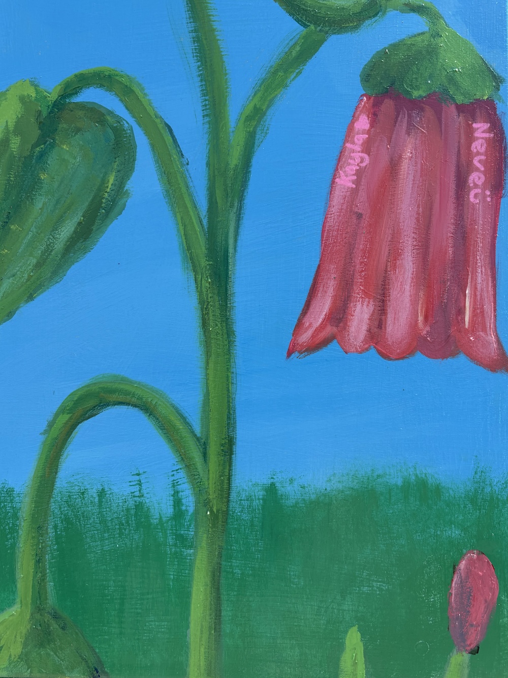 AB-B0893-Harmony_Huang_&_Brisbane_South_State_Secondary_College-Eco-Flow-AB-10