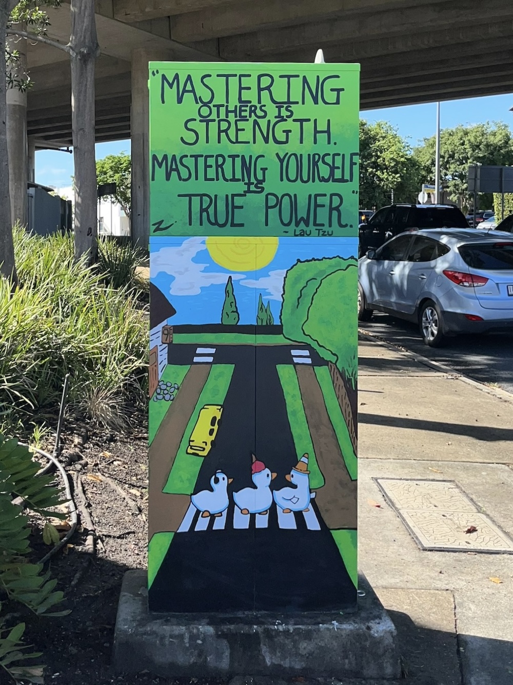 AB-B0232-Toby_Nelson-Ducks_of_Abbotsford_Rd-01