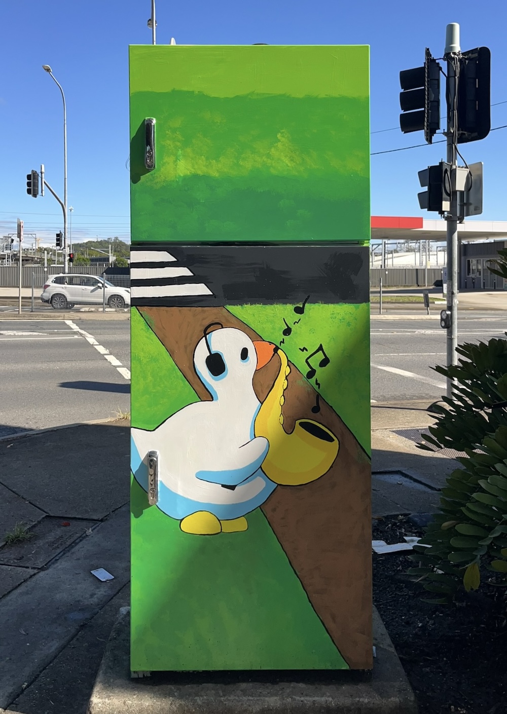 AB-B0232-Toby_Nelson-Ducks_of_Abbotsford_Rd-03