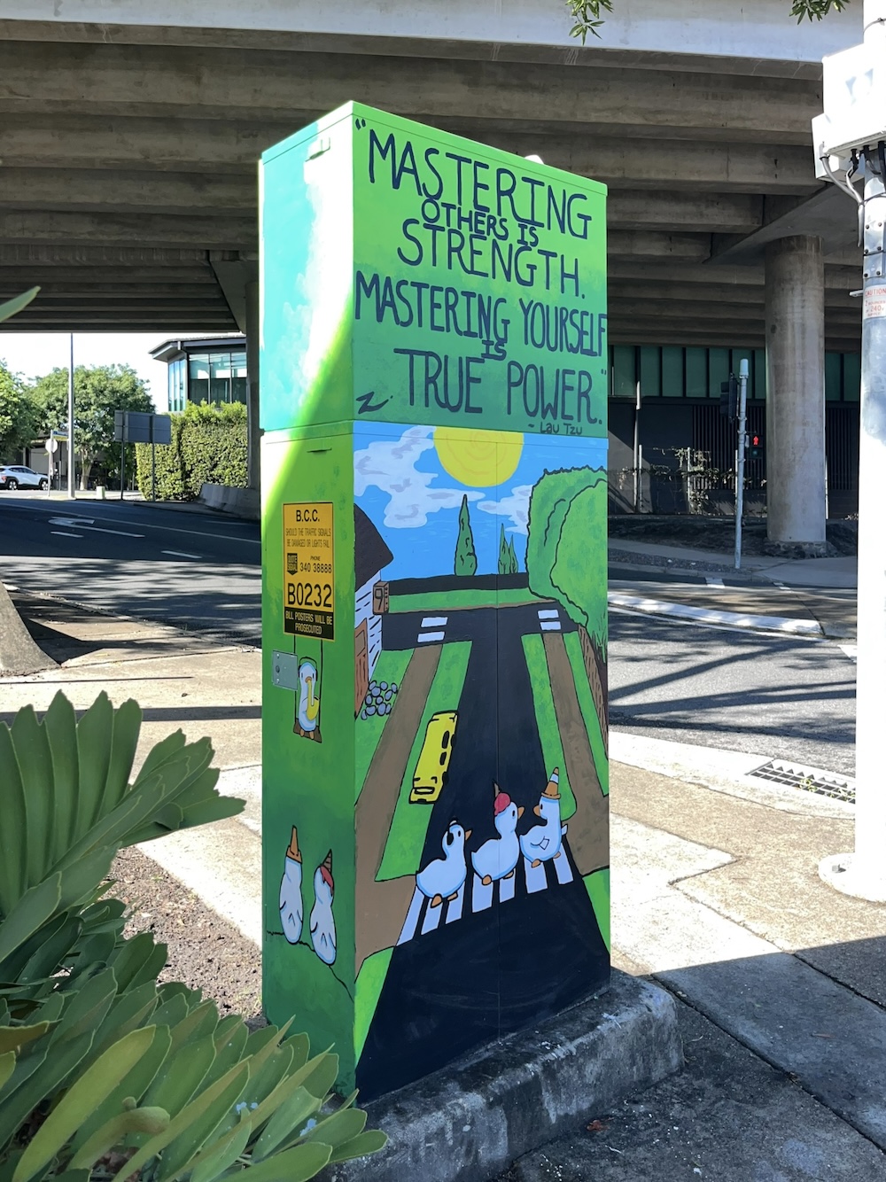 AB-B0232-Toby_Nelson-Ducks_of_Abbotsford_Rd-04