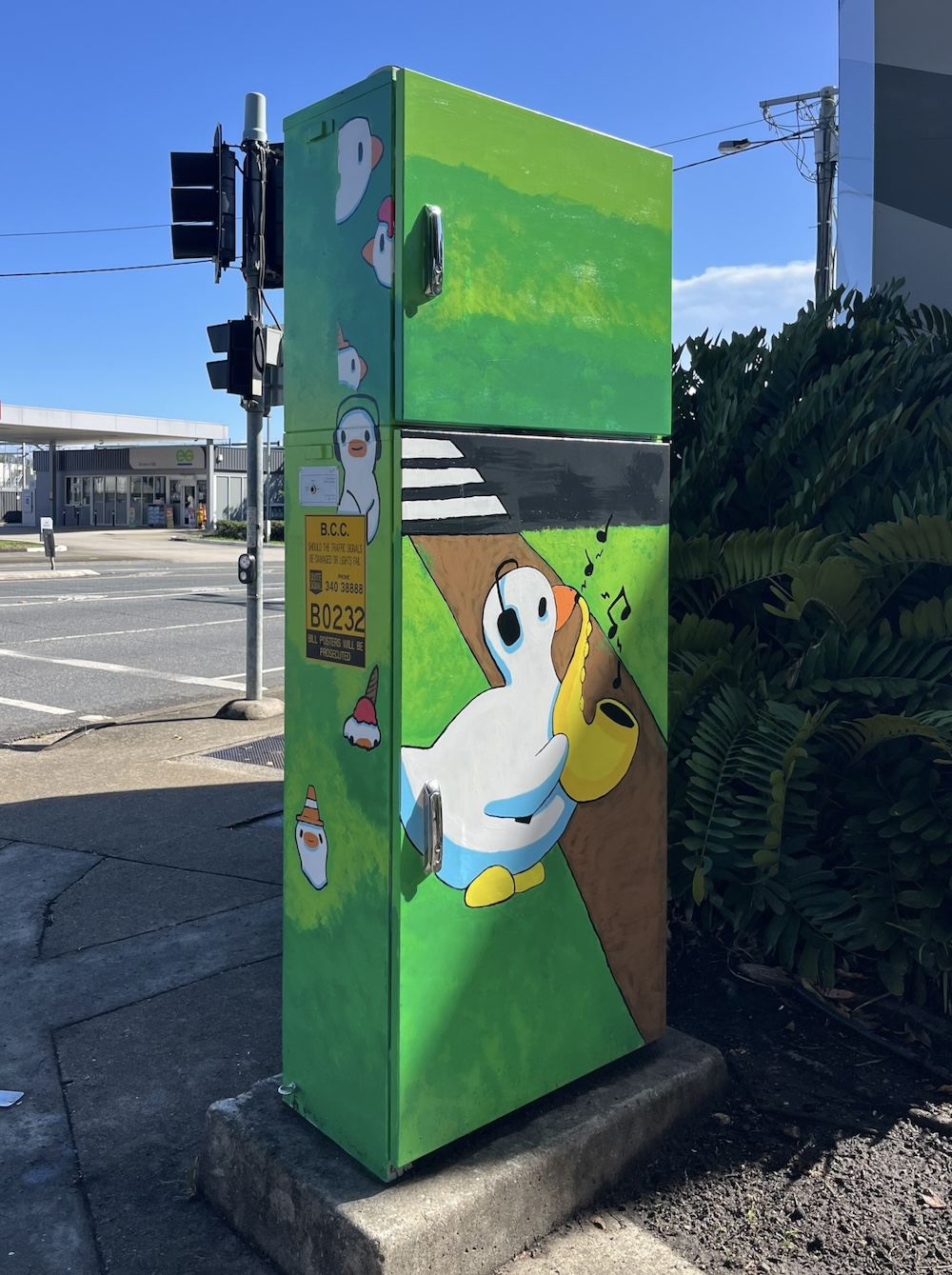 AB-B0232-Toby_Nelson-Ducks_of_Abbotsford_Rd-05