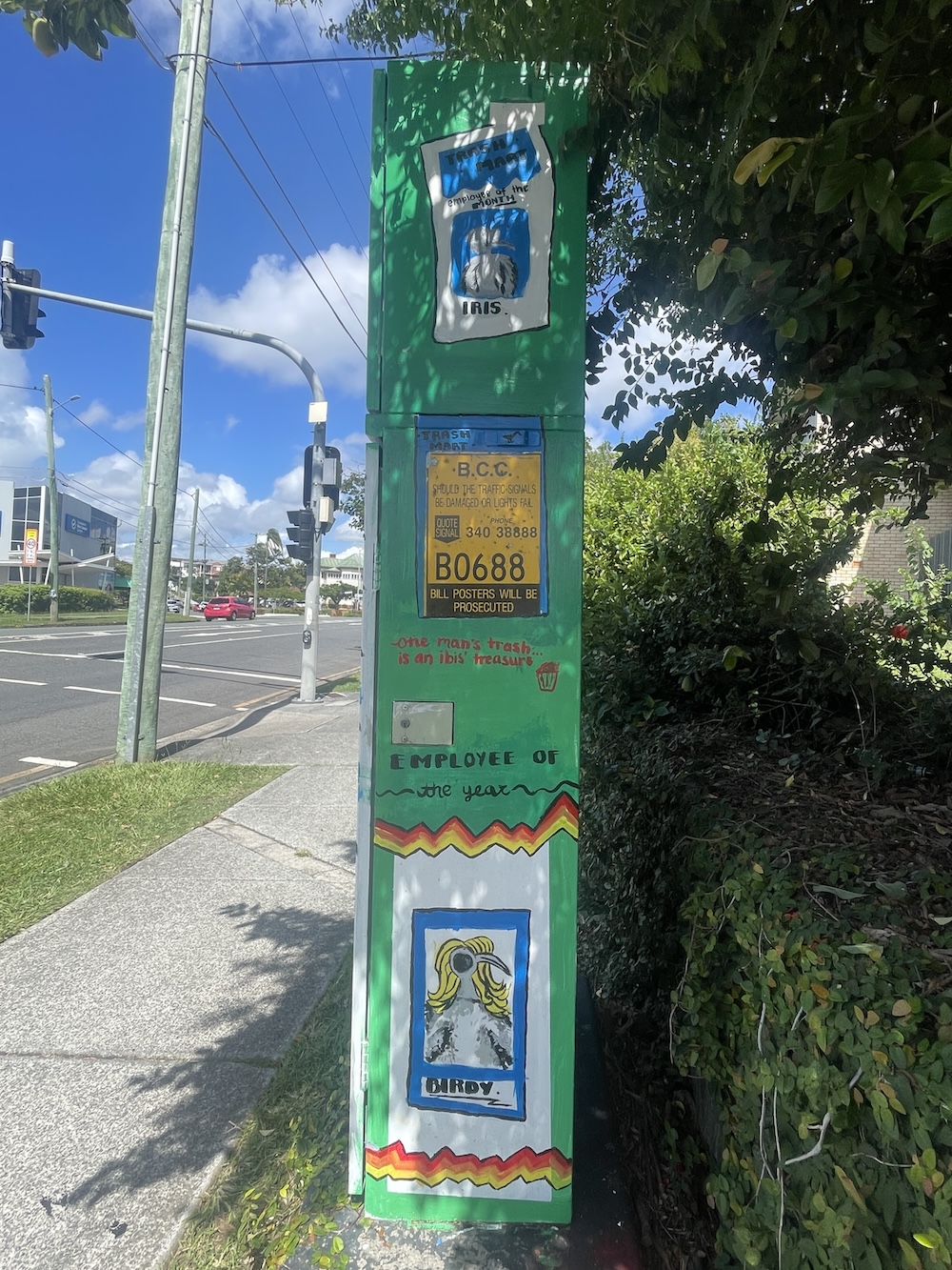 AB-B0688-Mimi_Smrecnik_&Loretto_College-One_Man's_Trash_is_another_ibis's)treasure-AB-02