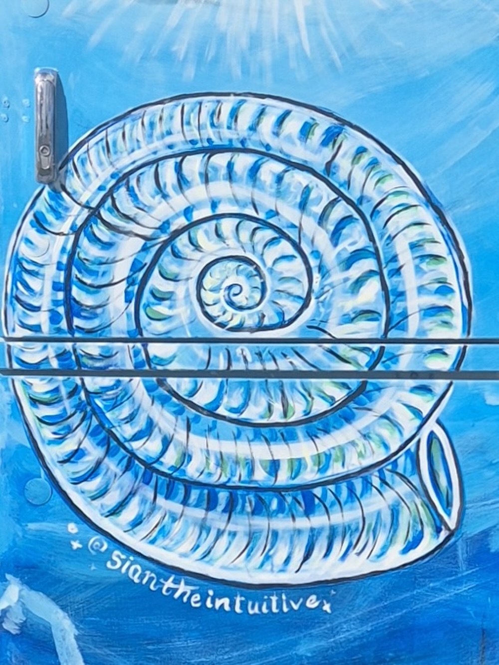 AB-B0715-Sian_Lorch-Ancient_Ammonite-08