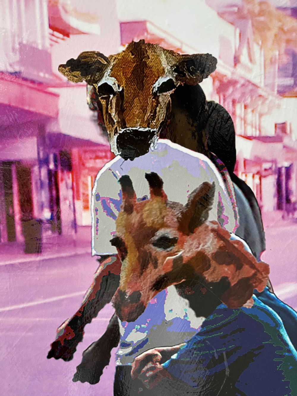AB-B0058-QUT-Charlie_Fraser-Party_Animals-AB-09